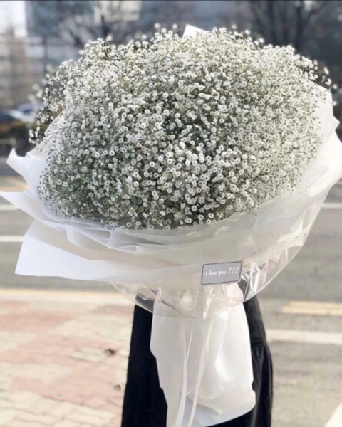 Baby's Breath - HBT25 - Hoa Sinh Nhật