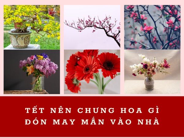 Tết Chưng Bàn Thờ, Trang Trí Tết Đẹp Nhất 2025