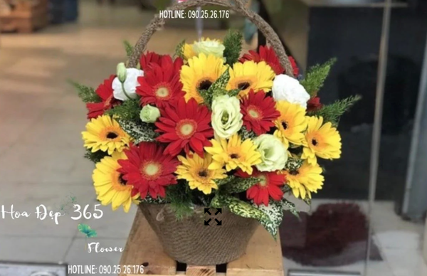 Giỏ Hoa Đồng Tiền