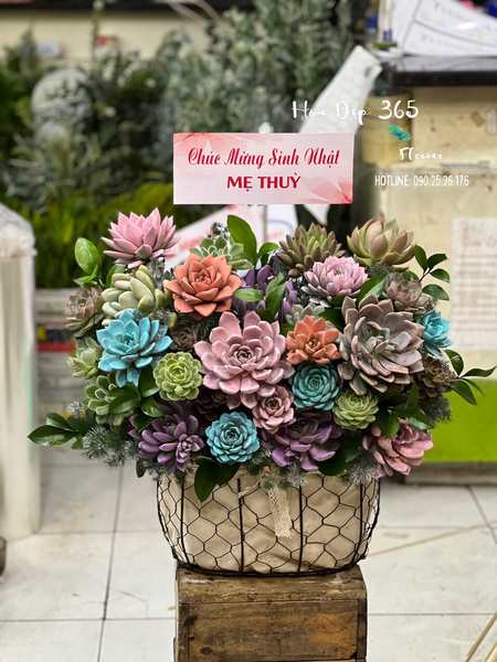 Giỏ Hoa Sen Đá - HG62