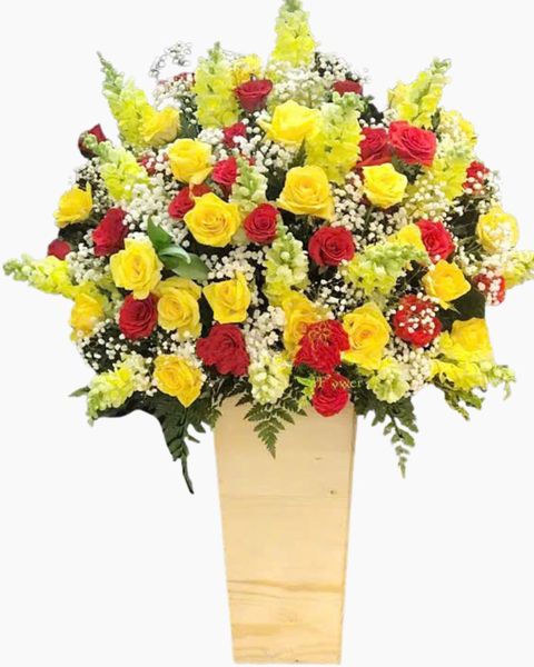 Hoa Hồng: Hộp Hoa Khai Trương Để Bàn Hi Vọng - HCH58