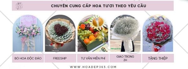 Shop Tươi Flosa, Dịch Vụ Điện Hoa 63 tỉnh thành.