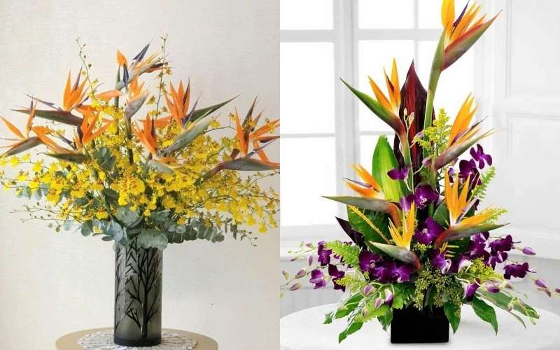 Mẫu 2 bình hoa Thiên Điểu mix hoa lan đẹp cho bạn tham khảo