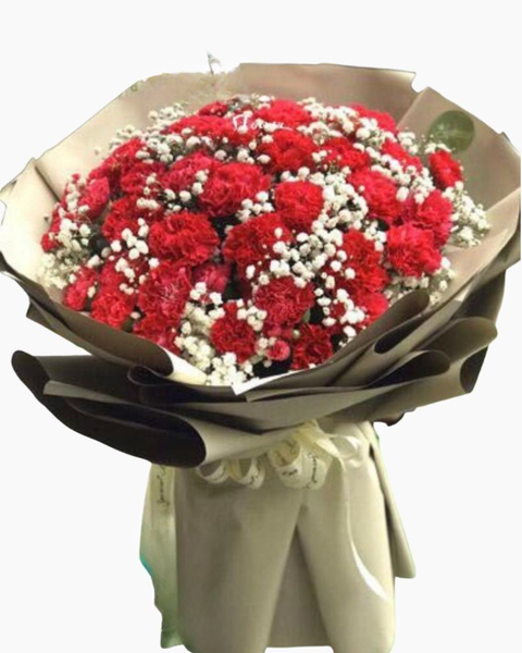  Red Carnation - HBT56 
