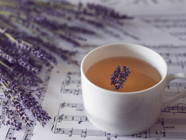 Trà hoa lavender