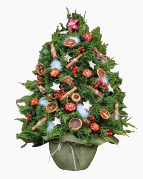 Hoa Giáng Sinh: Cây Thông Noel Merry Spruce - HGS09 - Giáng Sinh An Lành