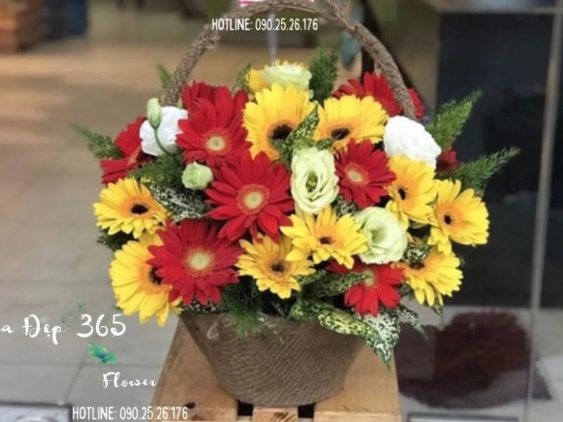 Cách cắm hoa đồng tiền trong chén