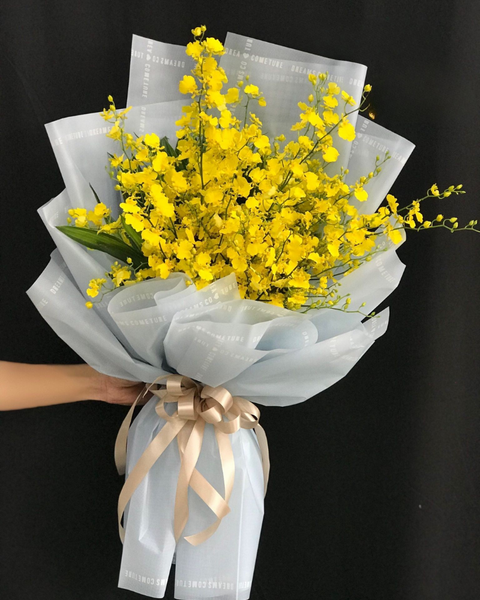 Tất Cả Sản Phẩm: Bó Lan Vũ Nữ - HBD237