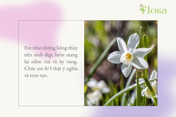 lời chúc 8/3 cho người yêu 8