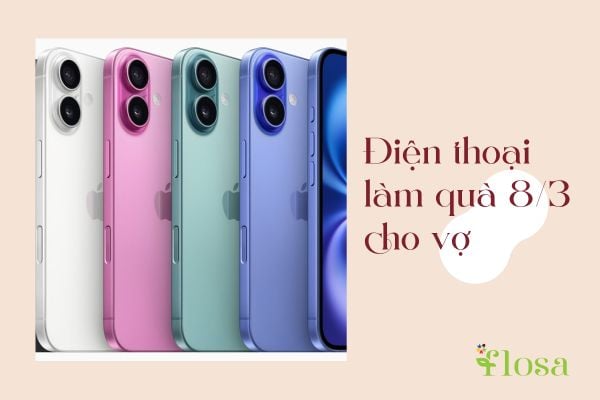 Quà 8/3 cho vợ với chiếc điện thoại mới
