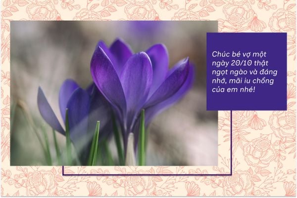 Chúc bé vợ một ngày 20/10 thật ngọt ngào và đáng nhớ, mãi iu chồng của em nhé!