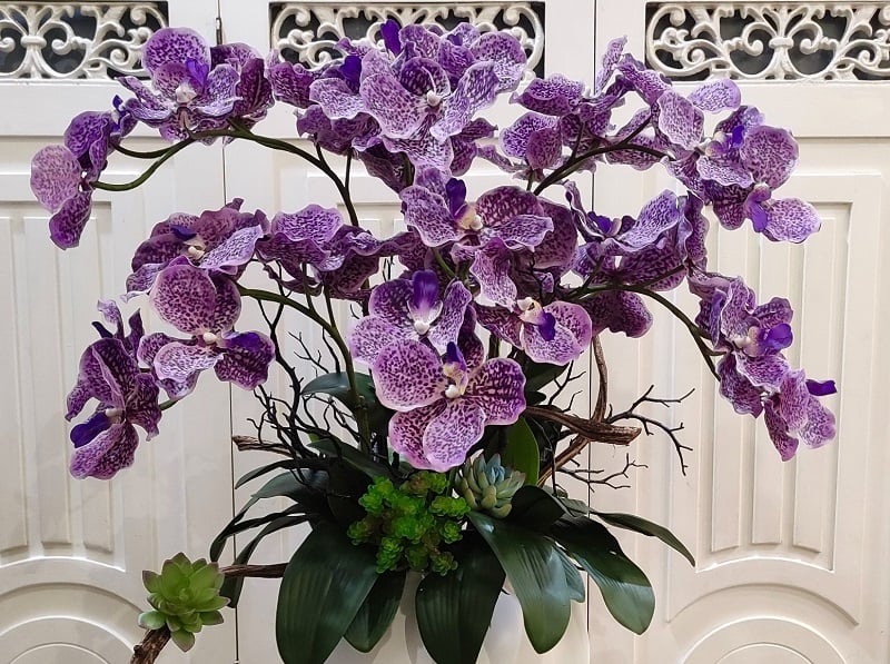 Chậu hoa lan vanda tím