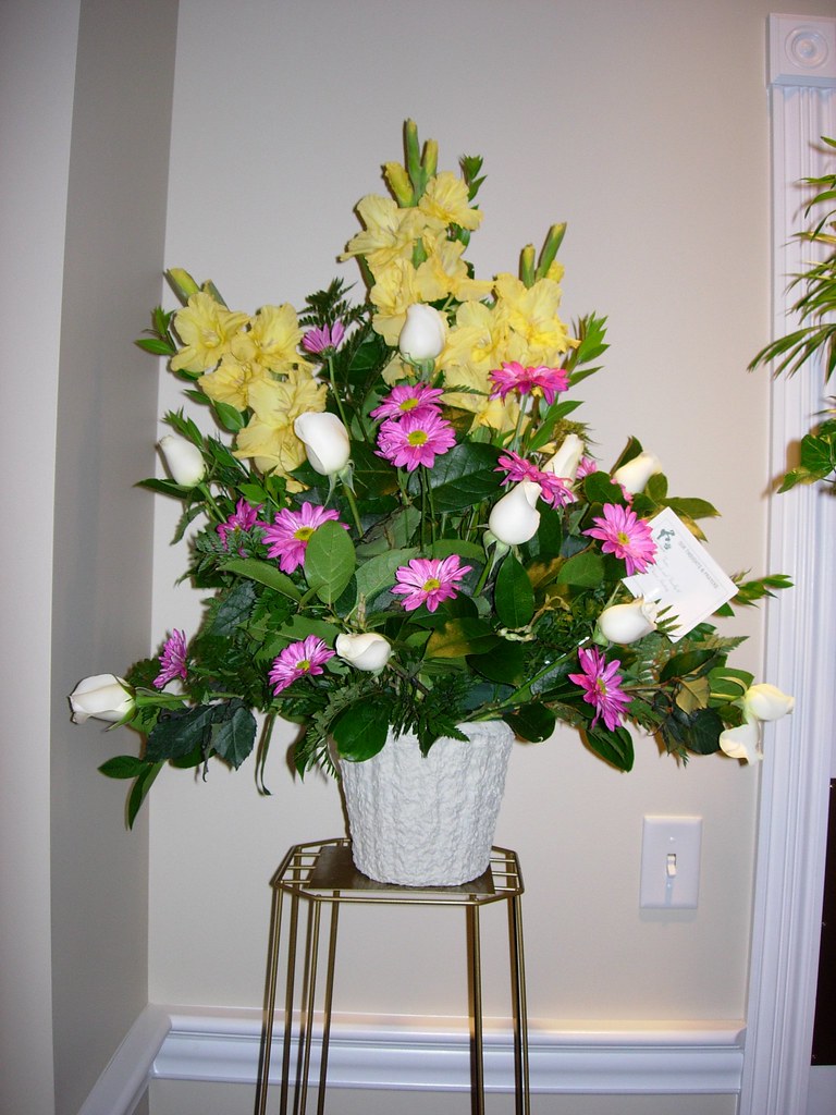 Hoa hồng Spray: Sự phát triển đa dạng từ Voorn Roses