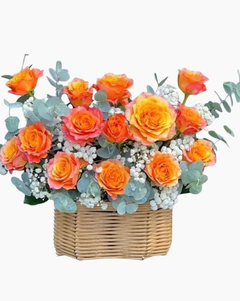 Hoa Màu Cam: Giỏ Hoa Hồng Cam Tặng Khai Trương - HG60