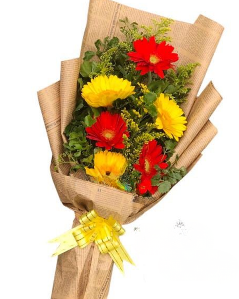 Hoa Bó Dài: Tiền Tài - HBD140