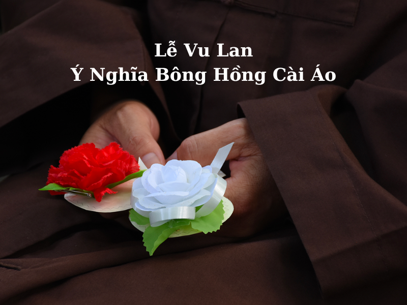 Ý Nghĩa Bông Hồng Cài Áo Trong Lễ Vu Lan Báo Hiếu 2026