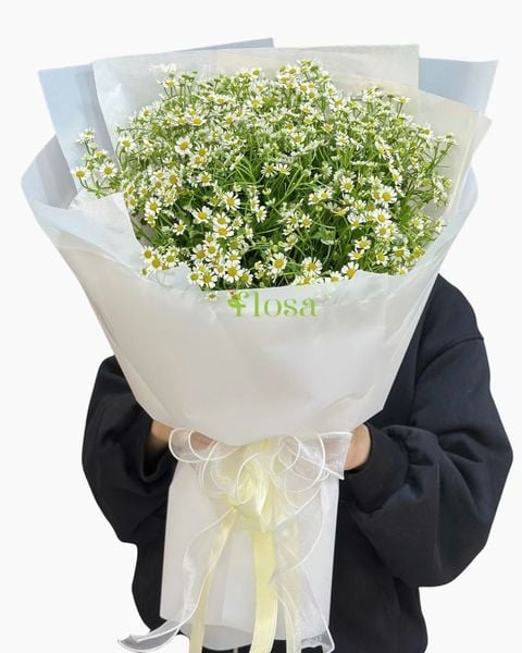  Bó Hoa Cúc Tana-HBD312 