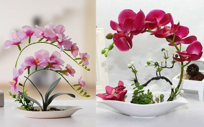 Cách cắm hoa lan cành nghệ thuật theo phong cách Ikebana Nhật Bản
