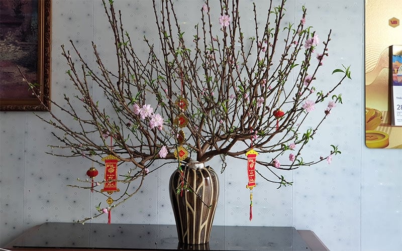 Hình ảnh hoa đào chưng Tết 2026