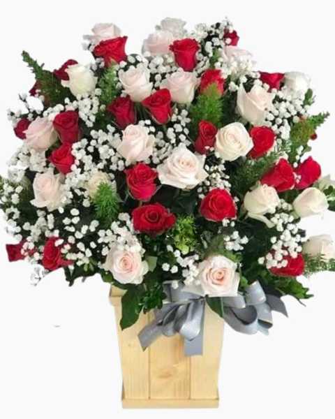  Tự Tình - HCH57 