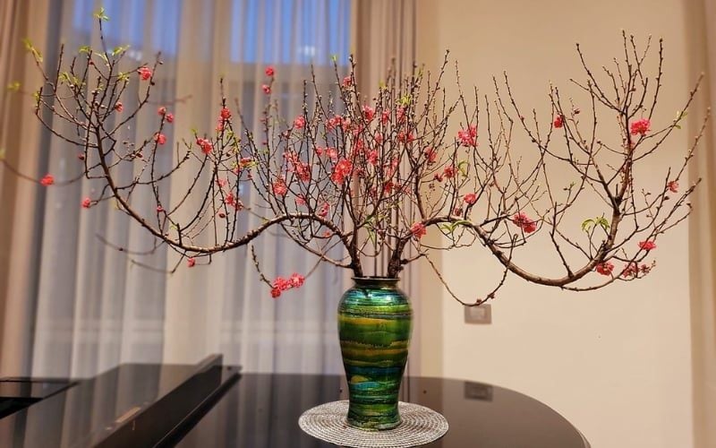 Hoa đào là biểu tượng tinh hoa của tết miền Bắc Việt Nam