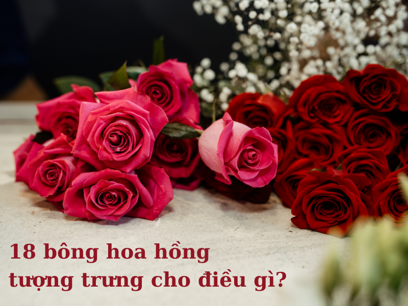Ý nghĩa của 18 bông hoa hồng trong tình yêu