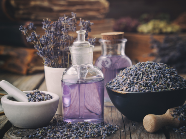Tinh dầu lavender
