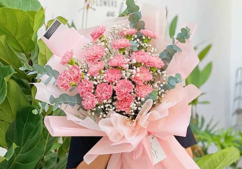 Gợi ý bó hoa cẩm chường hồng tượng trưng cho mẹ làm quà tặng ngày của mẹ