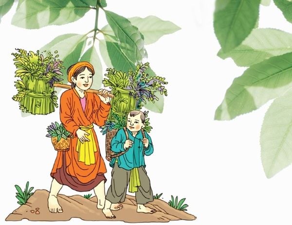 Tục khảo cây, hái thuốc