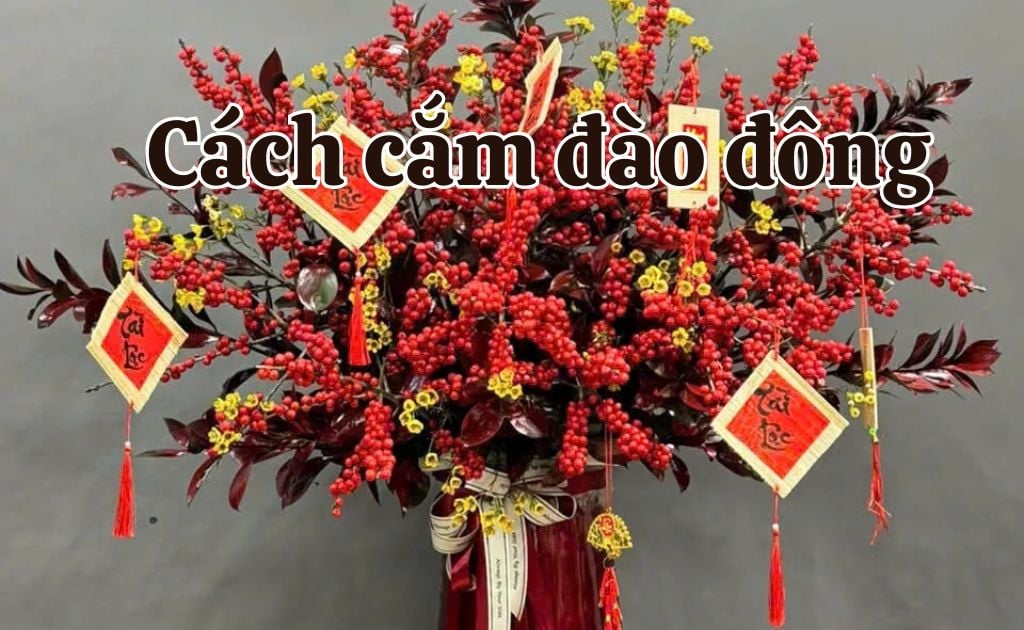 Cách cắm đào đông Tết 2026 đẹp nhất đón tài lộc may mắn thịnh vượng