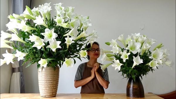 hoa loa kèn