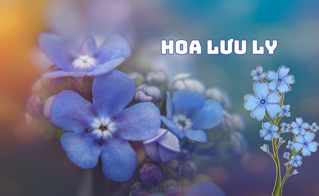 Lưu ly (Forget-me-not) — Myosotis sylvatica
