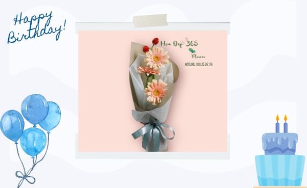 Bó Hoa Đồng Tiền rực rỡ với ý nghĩa tốt đẹp