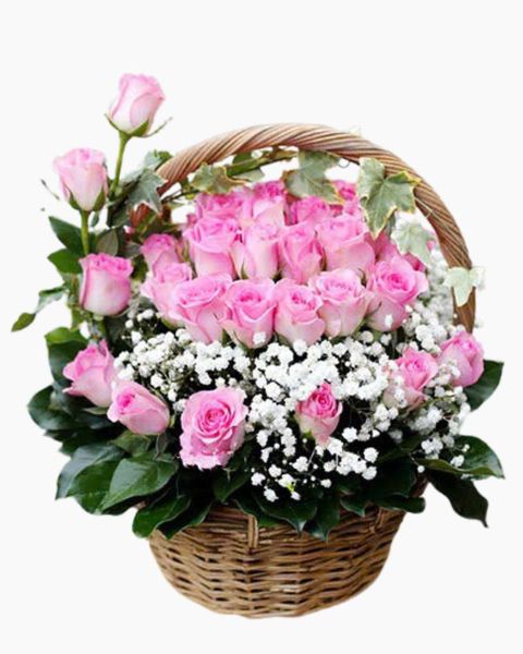 Giỏ Hoa Khai Trương: Giỏ Hoa Rose Basket - HG31