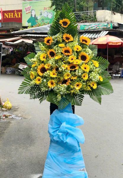Hoa Chúc Mừng: Lẵng Hoa Nỗ Lực Tiếp Bước - HCM25