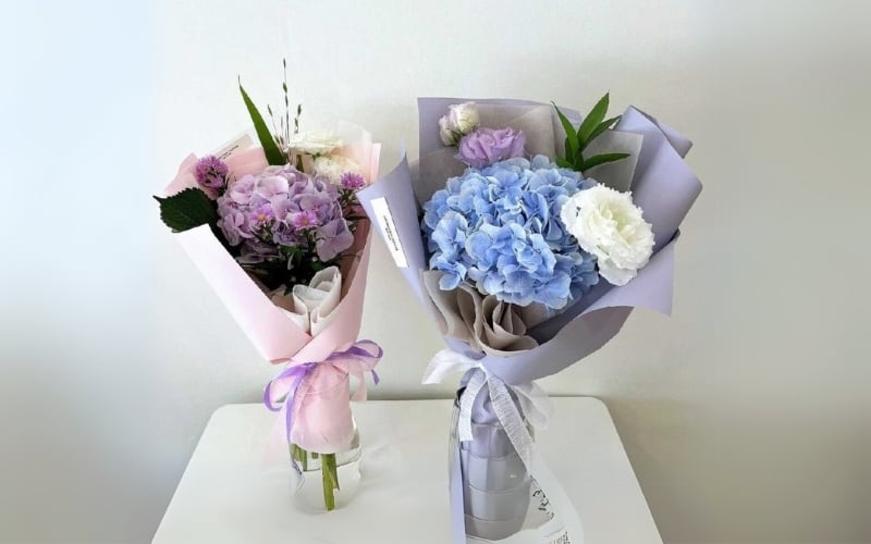Mang biểu tượng của lòng biết ơn và sự chân thành, cẩm tú cầu là loài hoa sinh nhật thích hợp dành tặng gia đình