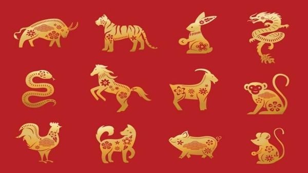 Chọn tuổi xông nhà
