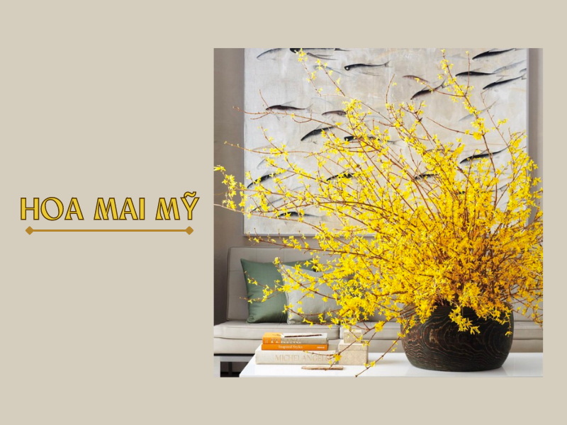 Cây Mai Mỹ - “Nàng Thơ Mới” Rực Rỡ Chưng Tết 2026
