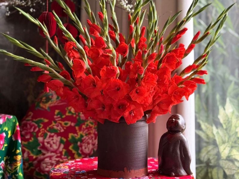Hoa lay ơn đỏ