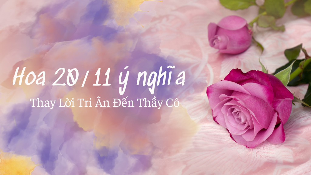10 Loài Hoa 20/11 Ý Nghĩa Thay Lời Tri Ân Đến Thầy Cô