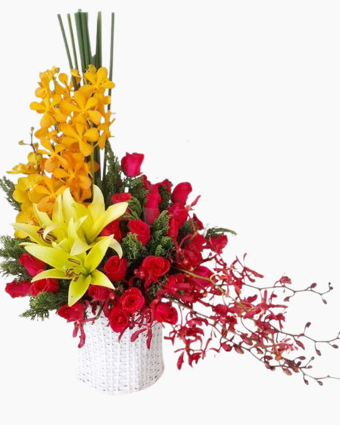 Giỏ Hoa Khai Trương: Sức Khỏe Dồi Dào - HG19