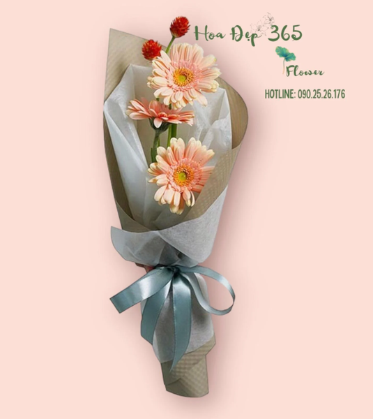 Chưng hoa cúc đồng tiền mang tài lộc