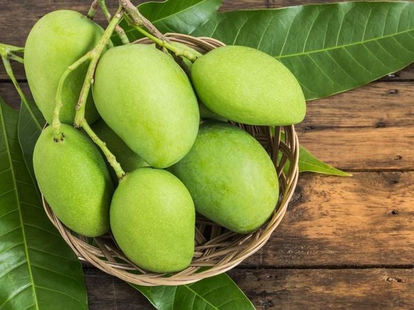 Xoài nằm trong danh sách 5 loại trái cây cúng ngày khai trương, mang ý nghĩa tài lộc.