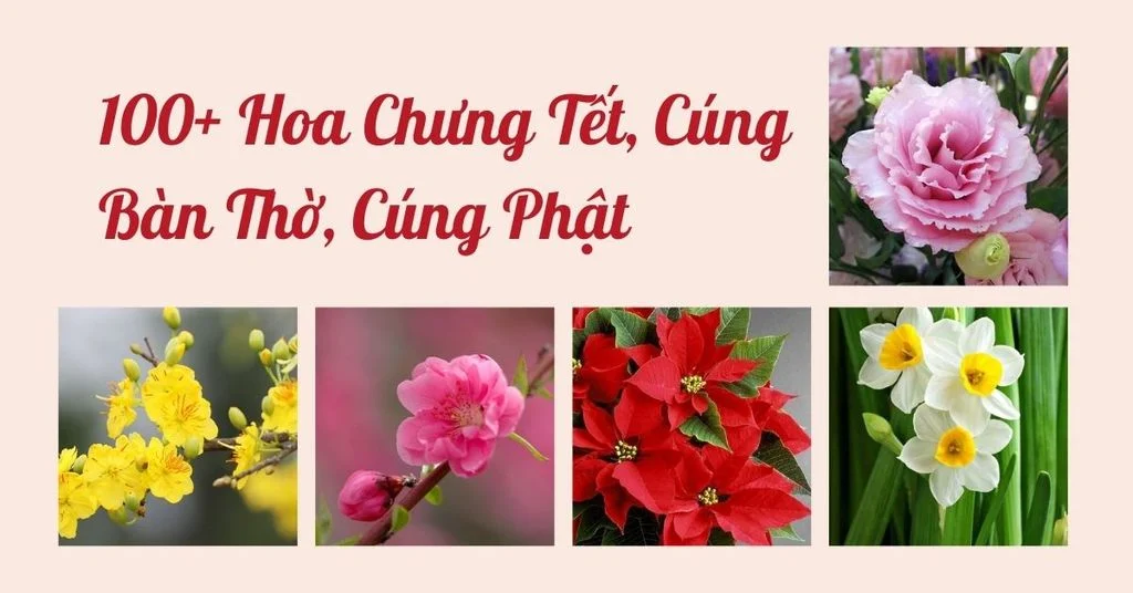 100+ Hoa Chưng Tết, Cúng Bàn Thờ, Cúng Phật Đón Tết Nguyên Đán 2026