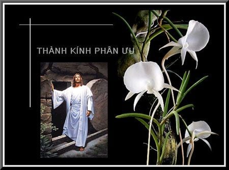 Tổng hợp những lời động viên chân thành đến gia đình có tang.