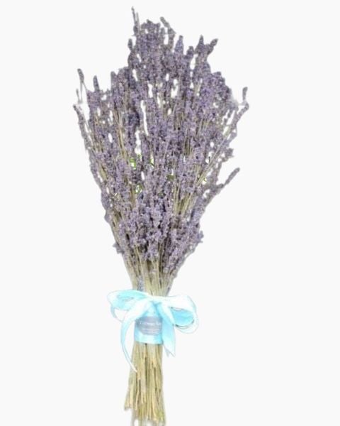Hoa Lavender: Bó Hoa Lavender Mộc Mạc - LVD04 - Điện Hoa