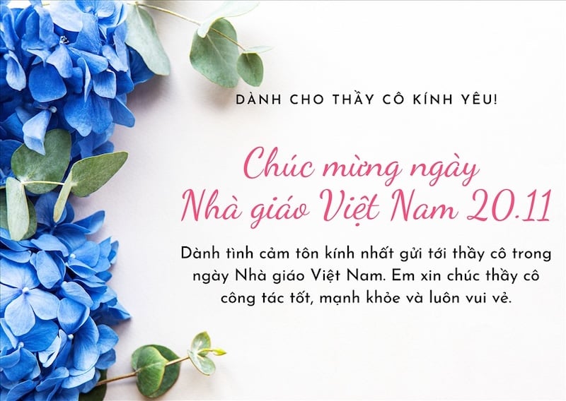 Lời chúc 20/11 ý nghĩa