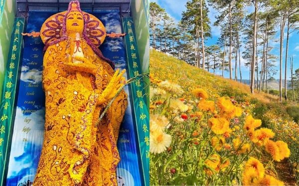 Khám phá những điều thú vị về hoa bất tử: tượng Phật độc đáo và Cánh đồng hoa bất tử Đà Lạt