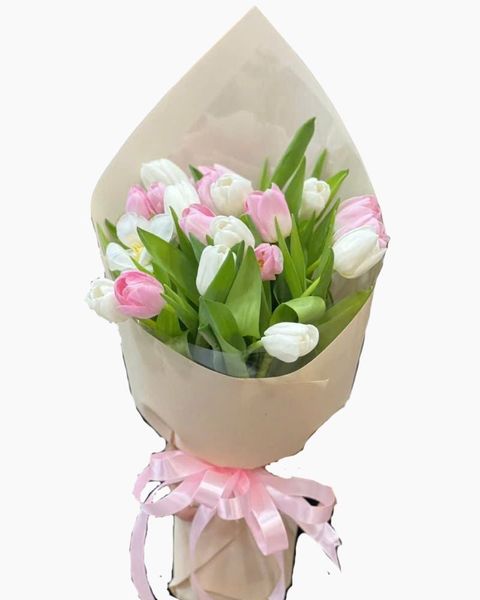 Hoa Bó Dài: Bó Hoa Tulip Nhẹ Như Mây - HBD17