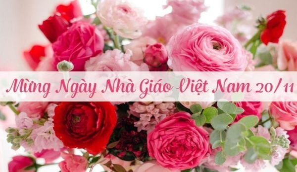 Những bài thơ hay miêu tả thầy cô nhân ngày 20/11